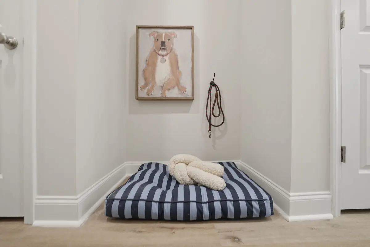 Styled pet nook with framed portrait
